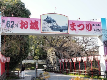 P3193879