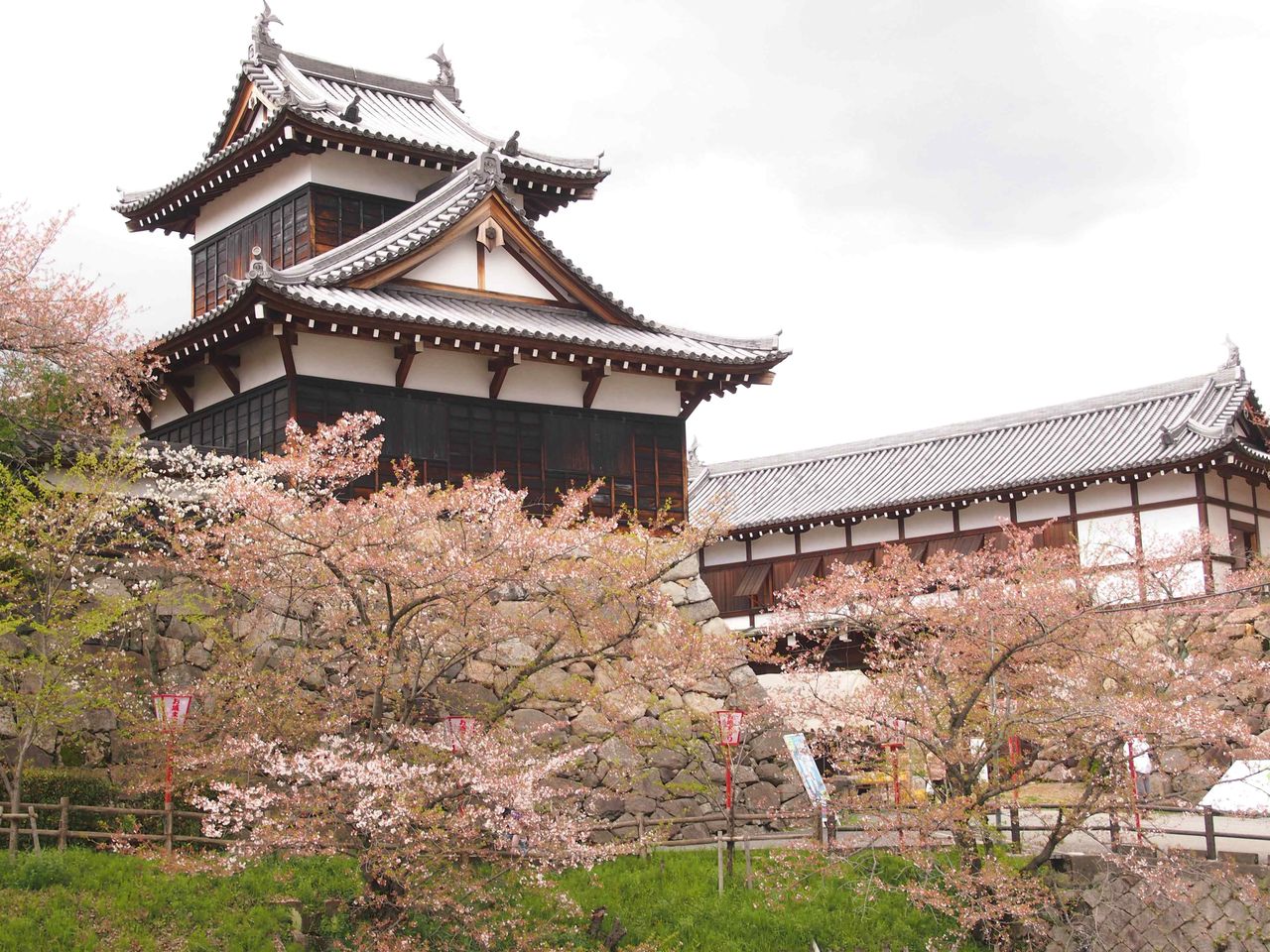 春の嵐の痕の 第53回 大和郡山お城まつり 13市民パレード クマジー王国のくまじろう