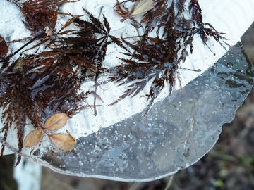 P1101808