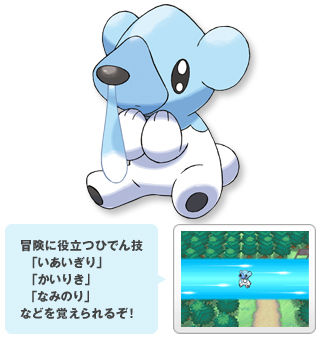 新ポケモン クマシュン 色嵐の王 クマカゼのブログ