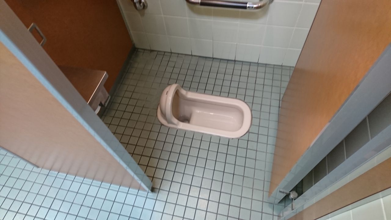 トイレ特別編 和式 トイレ 鉄道旅行日記 トイレ特別編 和式 トイレ 鉄道旅行日記