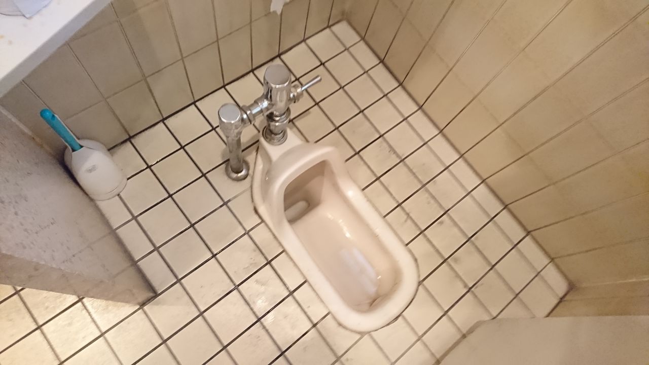 トイレ特別編 和式 トイレ 鉄道旅行日記