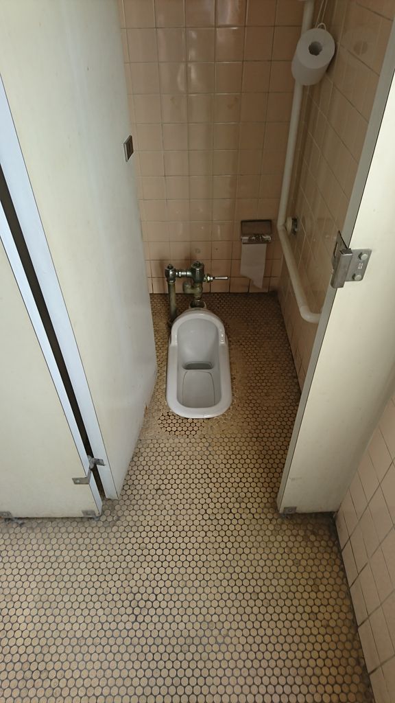 トイレ特別編 和式 トイレ 鉄道旅行日記