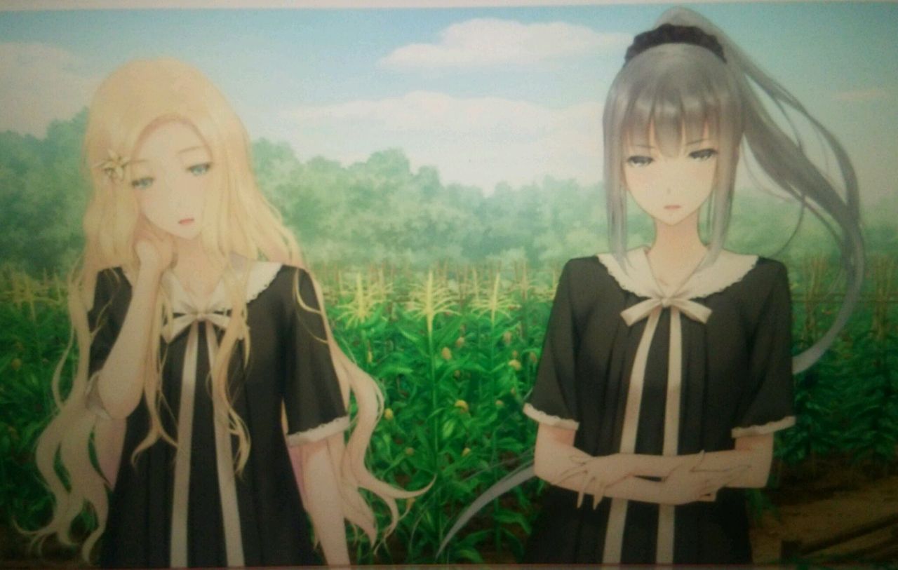 16年03月 百合道 始めます 16年03月 百合道 始めます