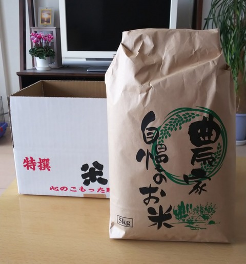 19-11-23-15-47-19-849_deco