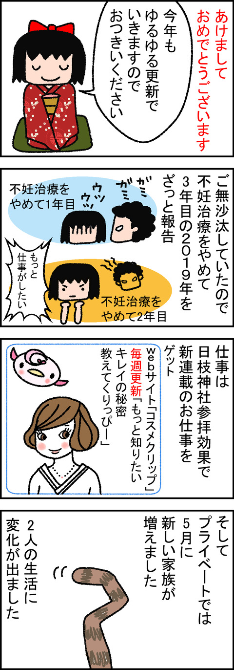 終妊 妊活辞めました アラフォー妊活 終妊 妊活辞めました アラフォー妊活
