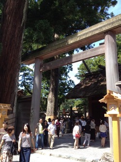 1236220_505117552910970_1389411651_n