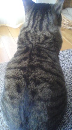 kotetu090215_1019~03