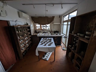 PXL_20230309_085608788