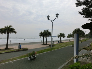 CIMG8322