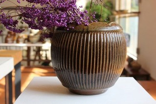 IMG_8806