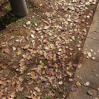 IMG_20171102_201549_578