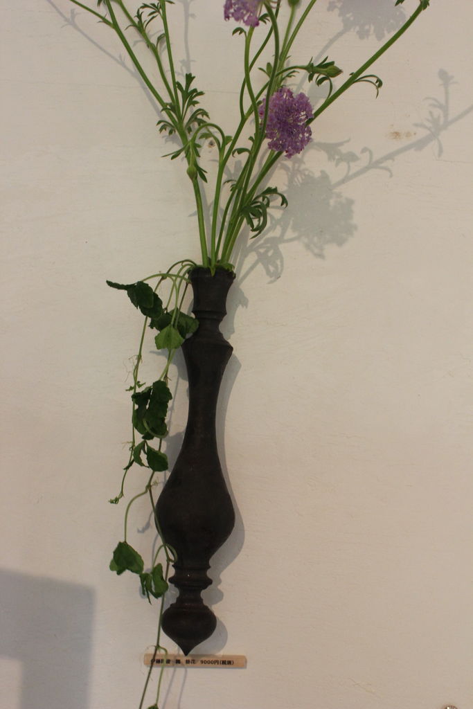 伊藤剛俊 白 鉢 伊藤剛俊 白 鉢 伊藤剛俊 白 鉢 2025年最新】伊藤剛俊