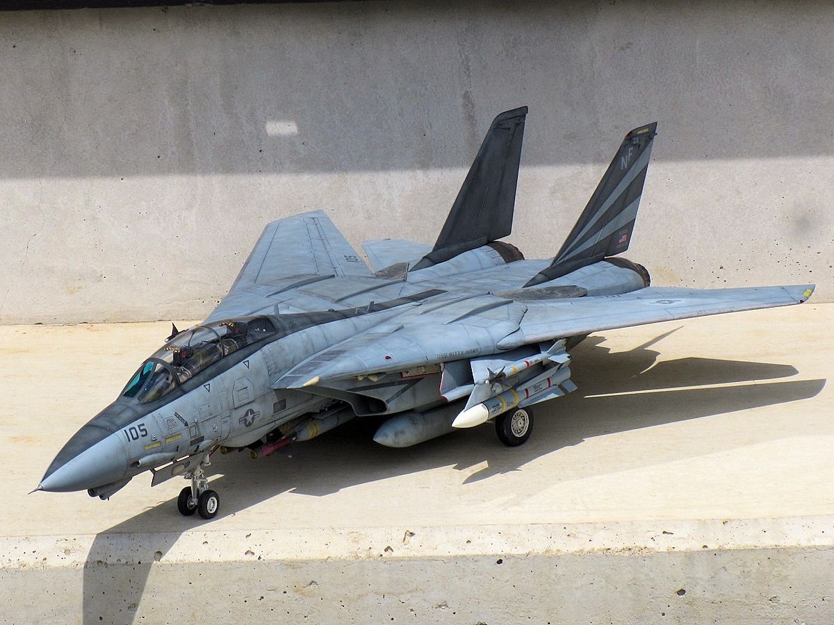 F-14A トムキャット VF-154 ブラックナイツ : 熊猫製作所