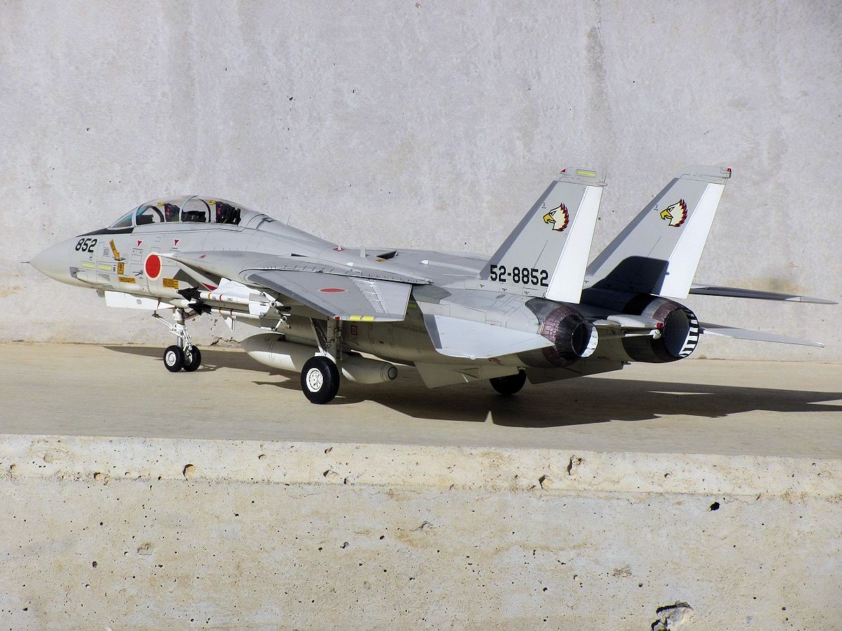F-14J トムキャット 航空自衛隊 : 熊猫製作所