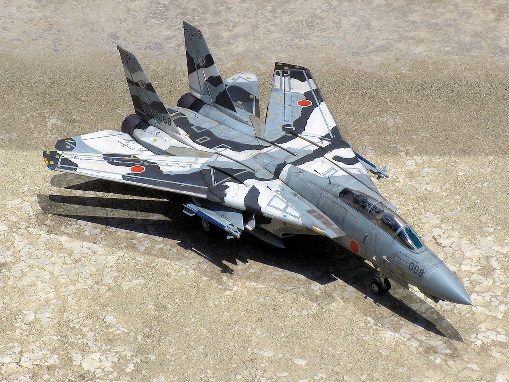 F-14DJ改トムキャット アグレッサー : 熊猫製作所