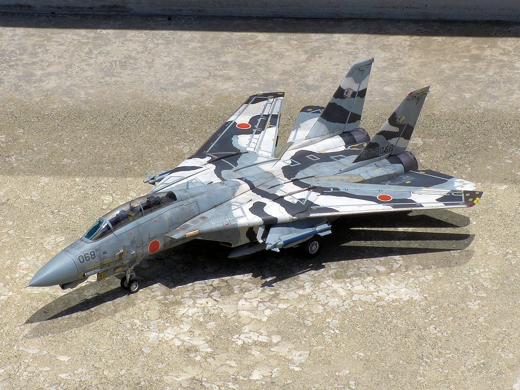 F-14DJ改トムキャット アグレッサー : 熊猫製作所
