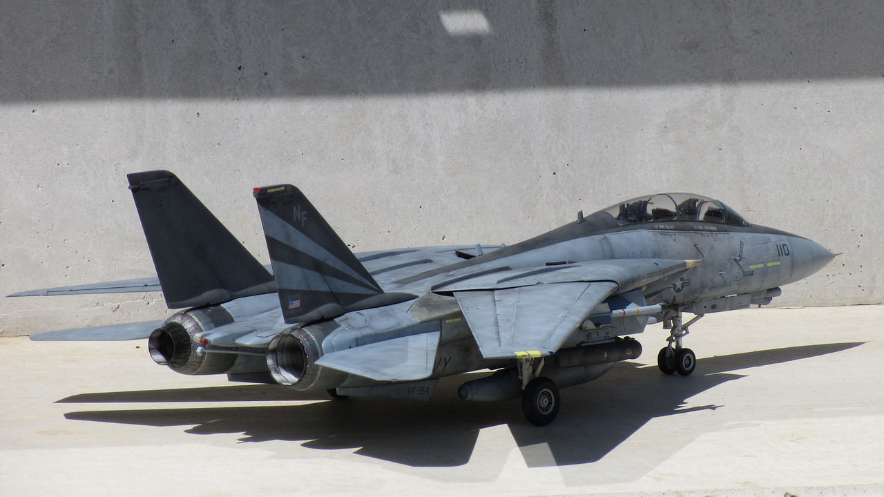 ！！専用！！1/18 F-14A トムキャット VF-154 ブラックナイツ 専用！！1/18 F-14A トムキャット VF-154 ブラックナイツ 童友社