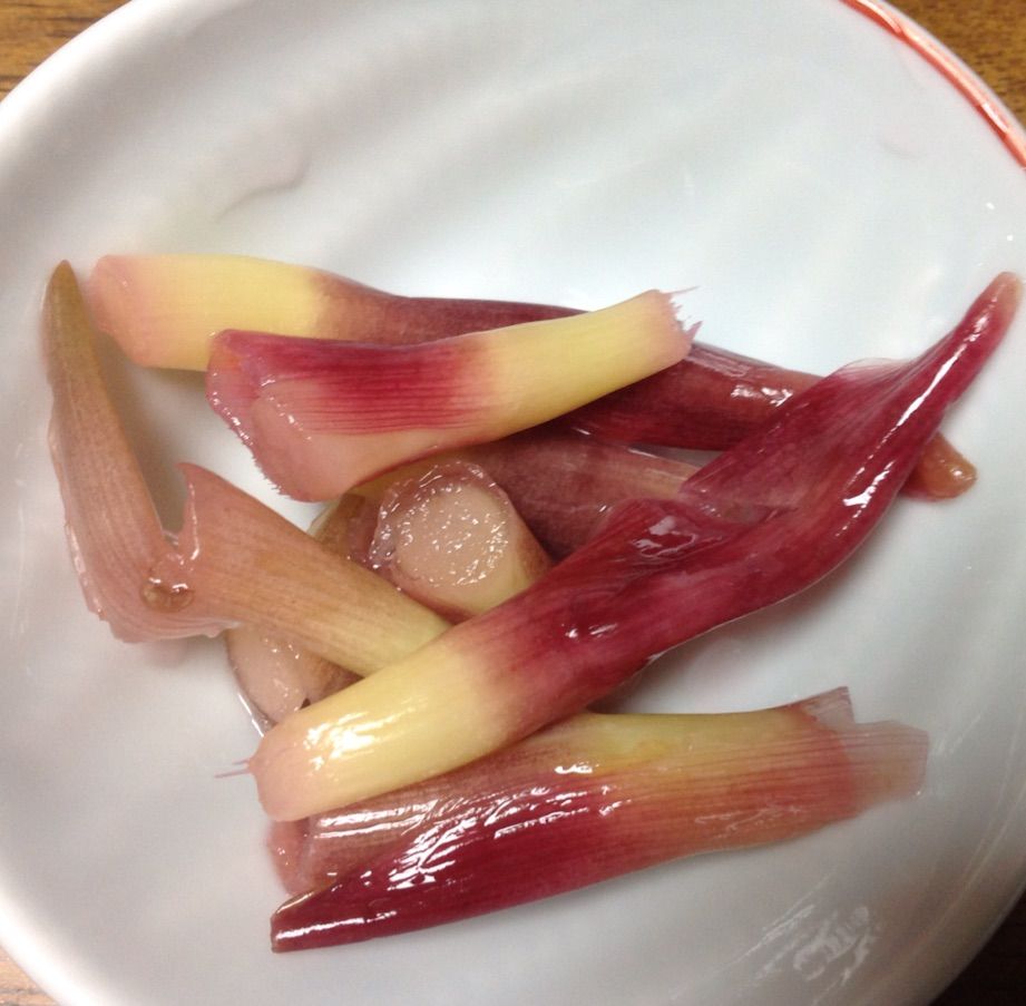 みょうがの茎のらっきょう酢漬けを作ったのだ 土佐の高知から発信中 我的日常生活 みょうがの茎のらっきょう酢漬けを作ったのだ 土佐の高知から発信中 我的日常生活