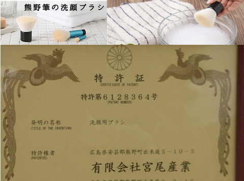 patent2
