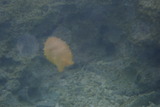 P5230026