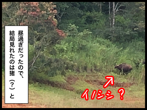 C5BDE445-B08E-4716-92B9-F7A9F2EA94F3