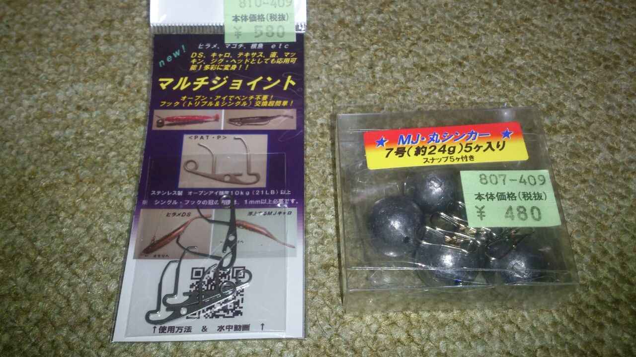 Mjリグのテスト初日 西湘ヒラメ日記