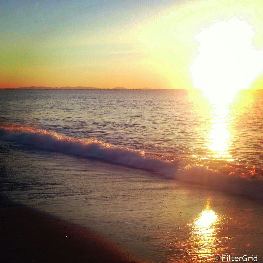 西湘ヒラメ日記 15年02月