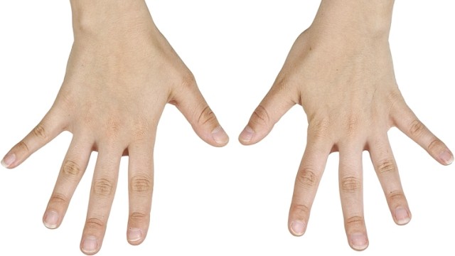 素朴なギモン なぜ右利きと左利きがいるの 負けブックおじさんはキミを想う 素朴なギモン なぜ右利きと左利きがいるの 負けブックおじさんはキミを想う