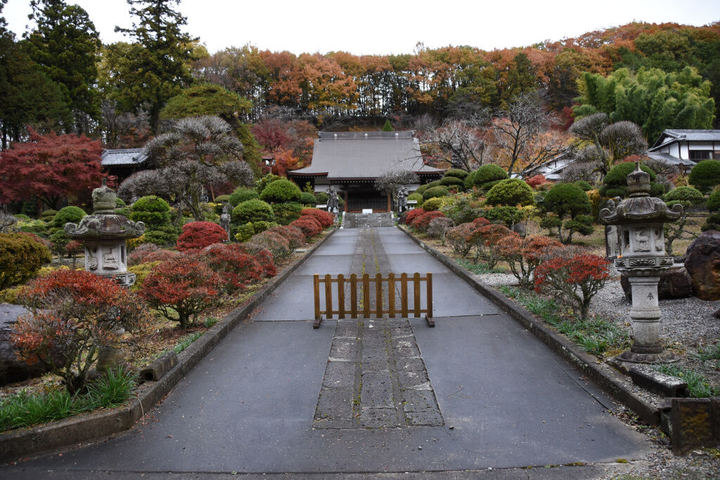 佐野市金蔵院の紅葉情報 19 11 23 くまたかのブログ３