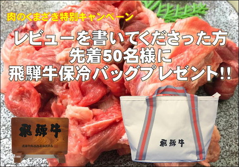 キャンペーン2