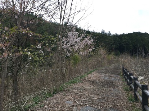 2016-04-13-09-45-54