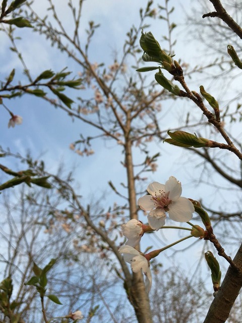 2016-04-12-17-39-26