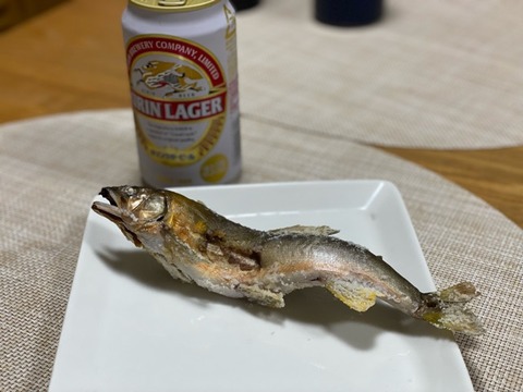 FullSizeRender