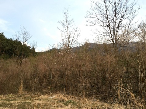2016-04-12-17-42-44