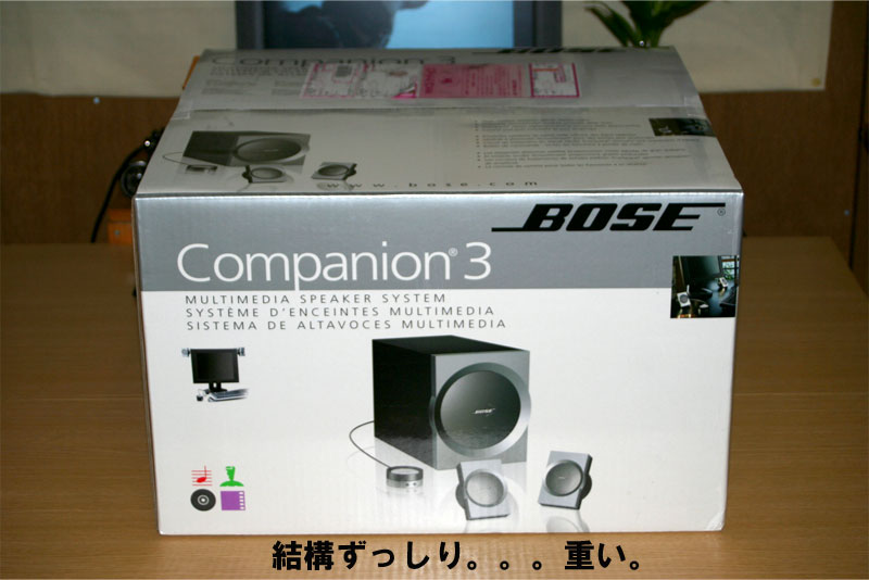 BOSE - companion3 : KumaTon BOSE - companion3 : KumaTon