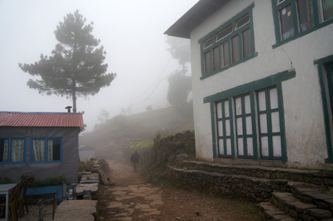 DSC06303