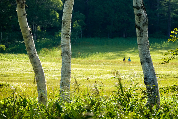 ORG_DSC05140