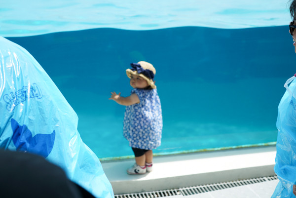 20160703-DSC07145