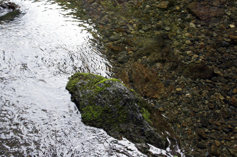 DSC00295