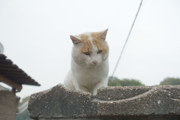 DSC09676