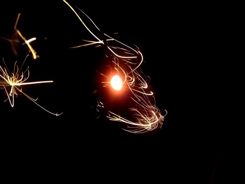 2012-08-16 07:48:40 写真1