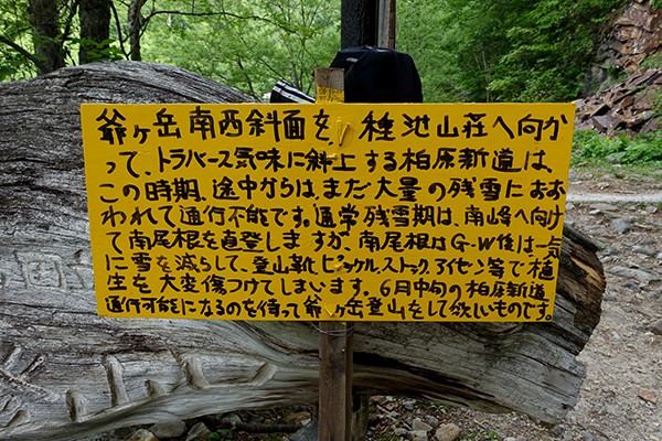 DSC08081