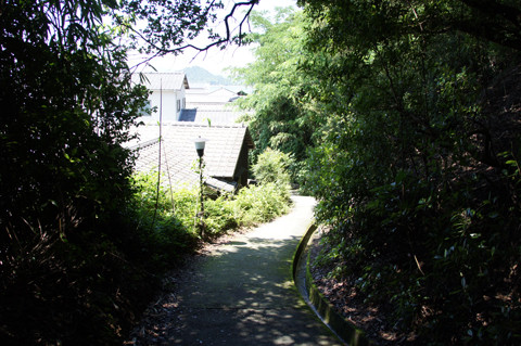 DSC04615