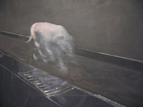 study4arundog