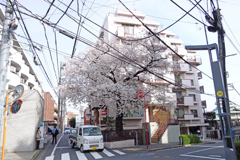 DSC00560