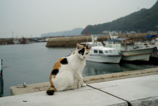 DSC04085