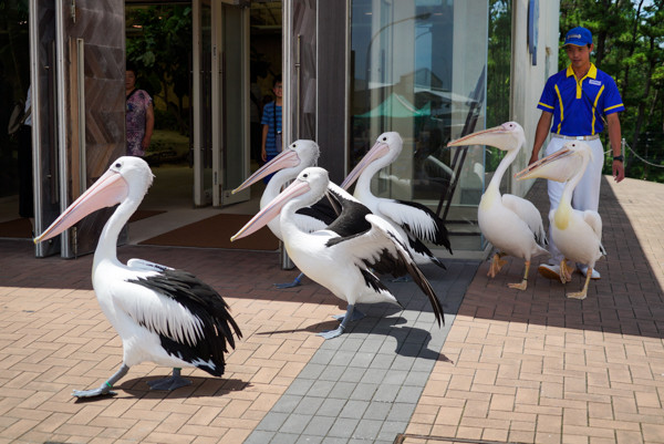 20160703-DSC07075