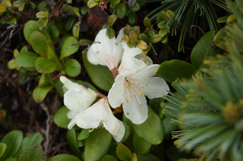 DSC04107