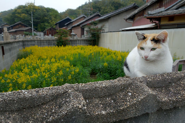 DSC09680